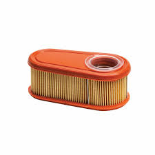 Õhufilter Briggs & Stratton 795066, 796254