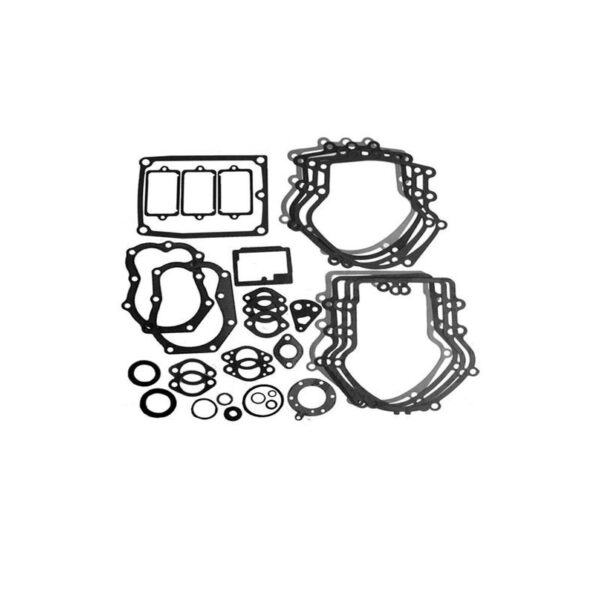 Tihendite komplekt Briggs & Stratton 2-silindrilised 491856, 394501, 393278